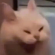 Dương Văn Tú's avatar